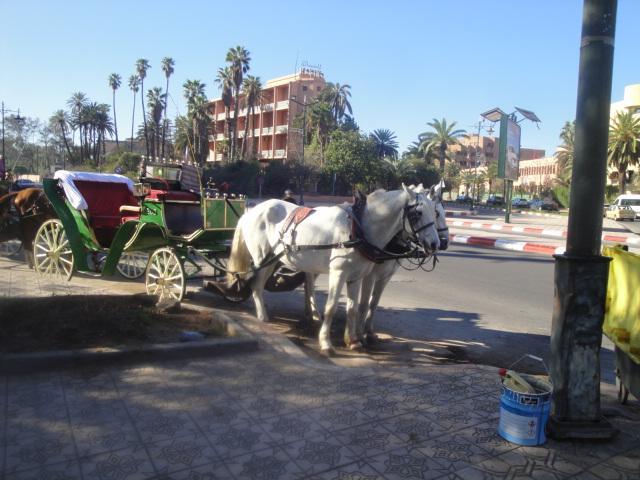 La Fontaine Apartment Marrakesh Bagian luar foto